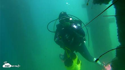 Scripps Pier Underwater Live Webcam - Sep 18, 2026, 2:20pm PDT