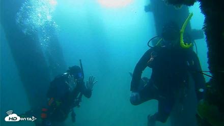 Scripps Pier Underwater Live Webcam - Sep 28, 2026, 9:11am PDT