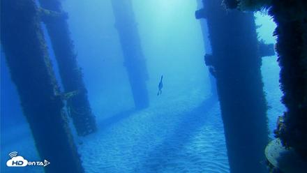 Scripps Pier Underwater Live Webcam - Oct 19, 2026, 9:48am PDT