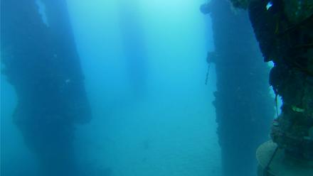 Scripps Pier Underwater Live Webcam - Sep 10, 2025, 7:18am PDT