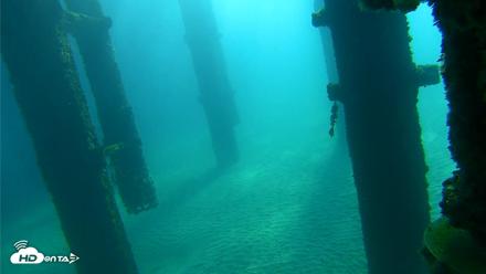 Scripps Pier Underwater Live Webcam - Oct 7, 2026, 9:26am PDT
