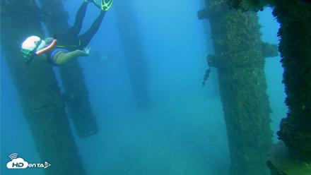 Scripps Pier Underwater Live Webcam - Oct 19, 2026, 5:22pm PDT