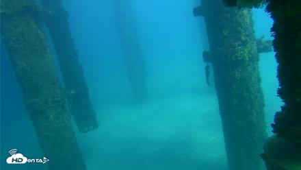 Scripps Pier Underwater Live Webcam - Oct 16, 2026, 2:17pm PDT