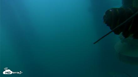 Scripps Pier Underwater Live Webcam - Jul 15, 2026, 6:05am PDT