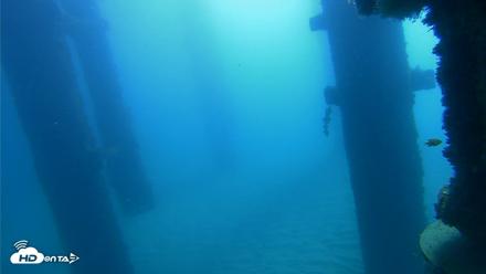 Scripps Pier Underwater Live Webcam - Oct 21, 2026, 10:10am PDT