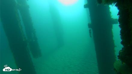 Scripps Pier Underwater Live Webcam - Oct 20, 2026, 8:53am PDT