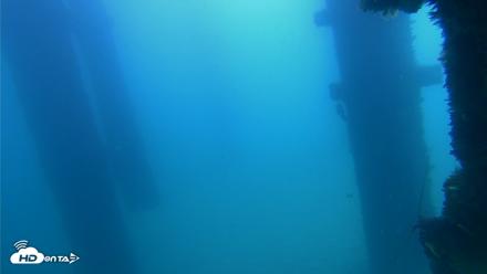 Scripps Pier Underwater Live Webcam - Sep 21, 2026, 11:28am PDT