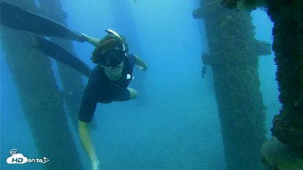 Scripps Pier Underwater Live Webcam - Oct 19, 2026, 5:44pm PDT