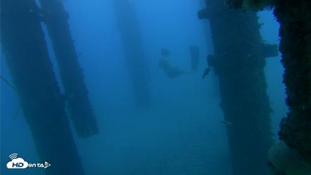 Scripps Pier Underwater Live Webcam - Oct 19, 2026, 5:58pm PDT