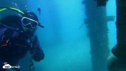 Scripps Pier Underwater Live Webcam - Apr 10, 2026, 1:16pm PDT