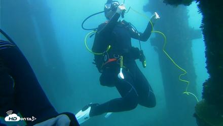 Scripps Pier Underwater Live Webcam - Oct 1, 2026, 2:07pm PDT