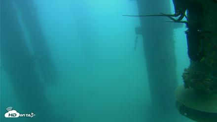 Scripps Pier Underwater Live Webcam - Aug 4, 2026, 11:03am PDT