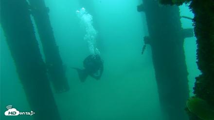 Scripps Pier Underwater Live Webcam - Oct 8, 2026, 9:32am PDT
