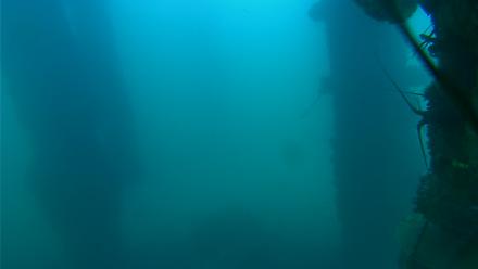 Scripps Pier Underwater Live Webcam - Oct 14, 2025, 5:15pm PDT