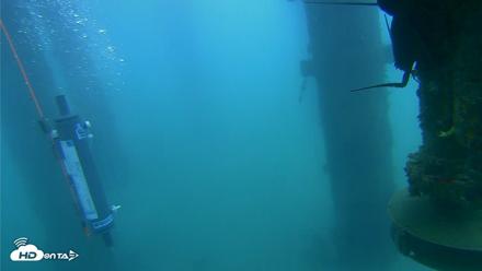 Scripps Pier Underwater Live Webcam - Aug 4, 2026, 10:35am PDT