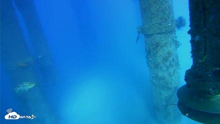 Scripps Pier Underwater Live Webcam - Jul 29, 2026, 5:05pm PDT