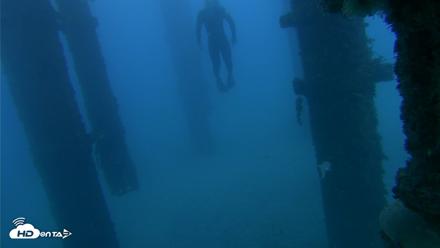 Scripps Pier Underwater Live Webcam - Oct 19, 2026, 6:06pm PDT