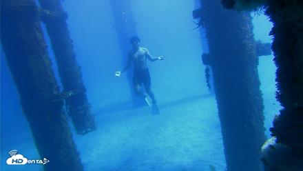 Scripps Pier Underwater Live Webcam - Oct 19, 2026, 12:20pm PDT