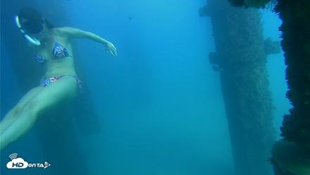 Scripps Pier Underwater Live Webcam - Oct 15, 2026, 3:05pm PDT