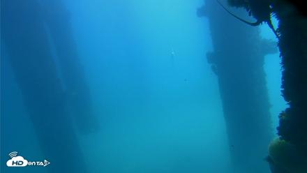 Scripps Pier Underwater Live Webcam - Oct 9, 2026, 12:27pm PDT