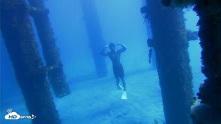 Scripps Pier Underwater Live Webcam - Oct 19, 2026, 12:22pm PDT