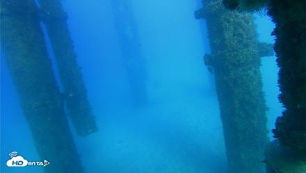Scripps Pier Underwater Live Webcam - Oct 19, 2026, 4:33pm PDT