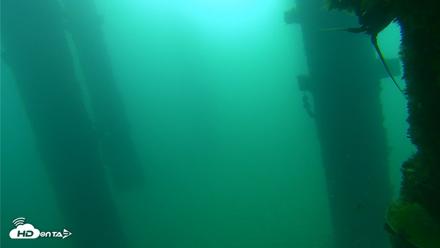 Scripps Pier Underwater Live Webcam - Sep 22, 2026, 8:33am PDT