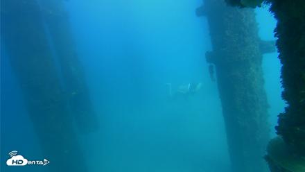 Scripps Pier Underwater Live Webcam - Oct 15, 2026, 3:05pm PDT