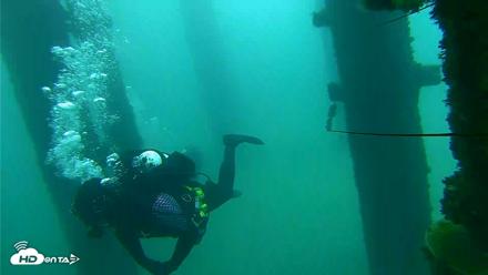 Scripps Pier Underwater Live Webcam - Oct 8, 2026, 9:33am PDT