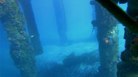 Scripps Pier Underwater Live Webcam - Jan 17, 2026, 2:07pm PST
