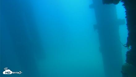 Scripps Pier Underwater Live Webcam - Sep 16, 2026, 1:19pm PDT