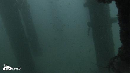 Scripps Pier Underwater Live Webcam - Oct 6, 2026, 6:44pm PDT