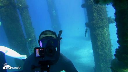 Scripps Pier Underwater Live Webcam - Oct 18, 2026, 3:33pm PDT