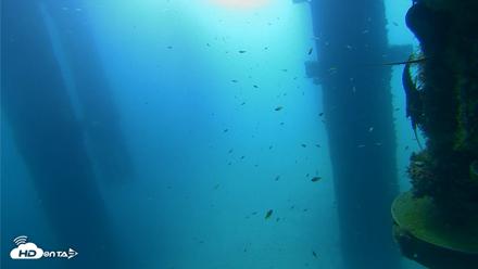 Scripps Pier Underwater Live Webcam - Aug 27, 2026, 9:18am PDT