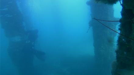 Scripps Pier Underwater Live Webcam - Dec 13, 2025, 2:14pm PST