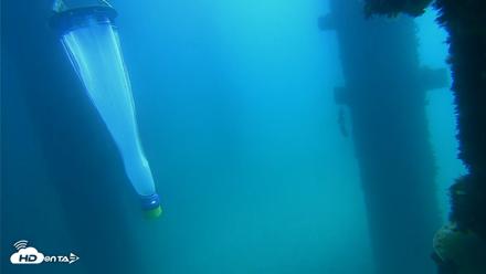 Scripps Pier Underwater Live Webcam - Sep 17, 2026, 12:12pm PDT