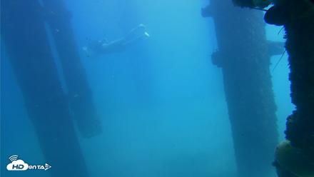 Scripps Pier Underwater Live Webcam - Oct 8, 2026, 1:17pm PDT