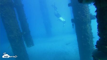 Scripps Pier Underwater Live Webcam - Oct 19, 2026, 1:50pm PDT