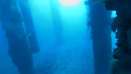 Scripps Pier Underwater Live Webcam - Feb 2, 2026, 7:57am PST