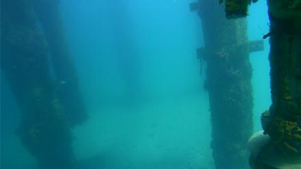 Scripps Pier Underwater Live Webcam - Mar 13, 2026, 1:28pm PDT