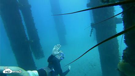Scripps Pier Underwater Live Webcam - Oct 7, 2026, 1:04pm PDT