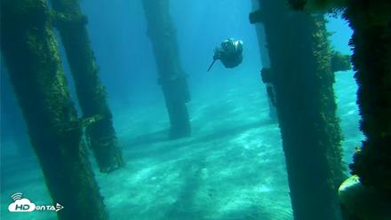 Scripps Pier Underwater Live Webcam - Oct 18, 2026, 12:20pm PDT