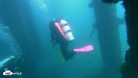 Scripps Pier Underwater Live Webcam - Oct 1, 2026, 2:07pm PDT