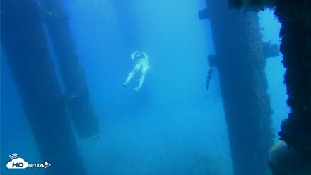 Scripps Pier Underwater Live Webcam - Oct 20, 2026, 12:46pm PDT