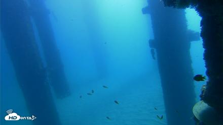 Scripps Pier Underwater Live Webcam - Oct 21, 2026, 10:32am PDT