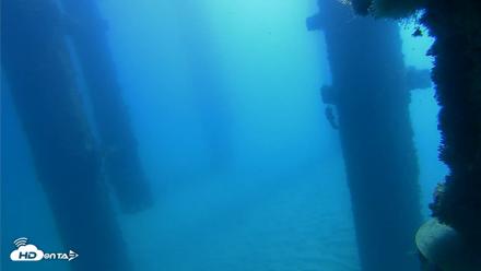 Scripps Pier Underwater Live Webcam - Oct 21, 2026, 10:43am PDT