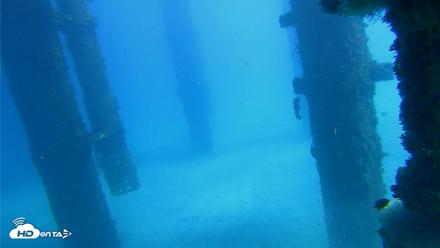 Scripps Pier Underwater Live Webcam - Oct 19, 2026, 1:10pm PDT