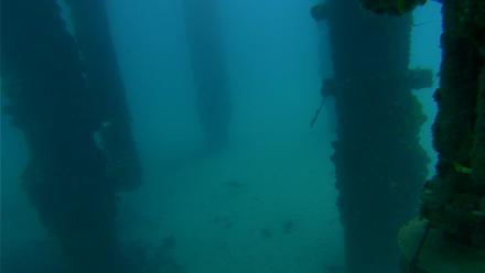 Scripps Pier Underwater Live Webcam - Sep 13, 2025, 7:04am PDT