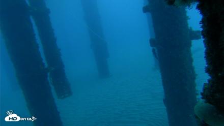 Scripps Pier Underwater Live Webcam - Oct 17, 2026, 7:05am PDT