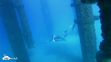Scripps Pier Underwater Live Webcam - Oct 19, 2026, 3:52pm PDT